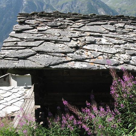 Alpia 26 - Zwei Zimmerwohnung In Traditionellem Walliser Haus Gasenried Luaran gambar