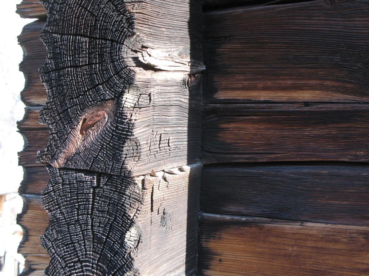 Alpia 26 - Zwei Zimmerwohnung In Traditionellem Walliser Haus Gasenried Luaran gambar