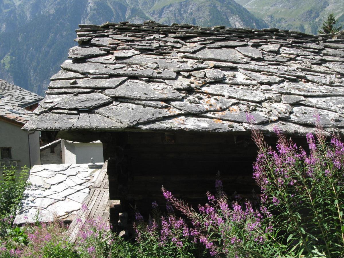 Alpia 26 - Zwei Zimmerwohnung In Traditionellem Walliser Haus Gasenried Luaran gambar