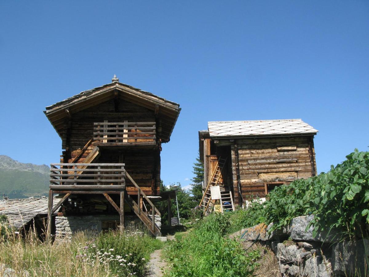 Alpia 26 - Zwei Zimmerwohnung In Traditionellem Walliser Haus Gasenried Luaran gambar