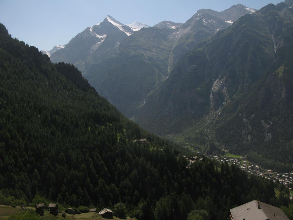 Alpia 26 - Zwei Zimmerwohnung In Traditionellem Walliser Haus Gasenried Luaran gambar